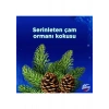 Domestos WC Blok Yoğun Parfümlü Çam Ormanı 2x50g