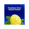 Domestos WC Blok Yoğun Parfümlü Limon Bahçesi 2x50g