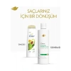 Dove Şampuan Avocado Dökülme Karşıtı 375 ml