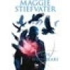 Düş Hırsızları - Maggie Stiefvater