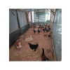 Düz Kenarlı Gölgelik File, %40 Gölgeleme, 4m x 3m Boyut