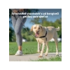 Easy Walk Köpek Koşum Takımı