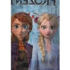 Eğlenceli Frozen-2 Temalı Masa Örtüsü (120x180 cm)