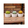 El Yapımı Mini Saksı Seti, 5 cm, Modern Beton Tasarım