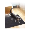 Elekli Kum Paspası, Kedi Tuvalet Önü İçin