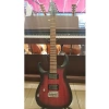Elektro Gitar Kılıfı, Aksesuar Seti ile Birlikte, Güvenli Taşıma