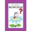 En Güzel Bilmeceler