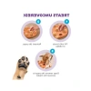 Etkileşimli Köpek Oyuncağı, Leckerlis İçin Turuncu Renk