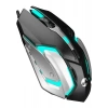 Everest SM-G72 Usb Siyah/Gümüş Işıklandırmalı Oyuncu Mouse