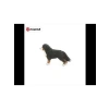 -Farm World-Dişi Bernese