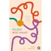Felsefe Neye Yarar? - Mary Midgley