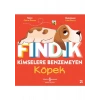 Fındık Kimselere Benzemeyen Köpek - Claire Mowat