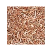 Gammarus Balık Yemi, 100 ml, 12 Gram Ağırlığında