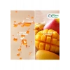 Gerber Organik Yulaflı Elma ve Mango Püresi 110 gr