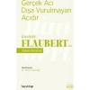 Gerçek Acı Dışa Vurulmayan Acıdır - Gustave Flaubertde Hayat Dersleri - Nimet Karadağ