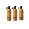 Gold Active Sport Edt 125 ml Erkek Parfüm X3 Adet