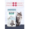 Gri Bentonit Topaklaşan Kedi Kumu 10 L