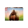 Güneş Doğarken Asil At Puzzle - 500 Parça Eğlenceli Oyun