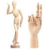 Hareketli İnsan ve El Modeli, 20 cm ve 25 cm Boyutunda
