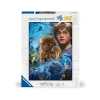 Harry Potter Temalı 500 Parçalı Puzzle, Hayranlar için