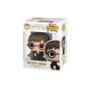 Harry Potter ve Ginny Weasley 2li Paket Mini Vinil Figür, Koleksiyon için