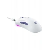 Havit Gamenote MS966WB Profesyonel Rgb Wireless Gaming Oyuncu Mouse 4 Modlu
