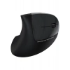 Havit MS550GT Wireless Kablosuz Optik Dikey Mouse