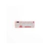 Hawk Gaming HK258 Membrane LCD RGB Kablosuz/Bluetooth Siyah Turuncu Full Türkçe Gaming Klavye (Beyaz Pembe)