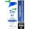 Head&Shoulders Klasik Bakım 2si 1 Arada Şampuan 300 ml