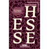 Hermann Lauscher - Hermann Hesse