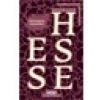 Hermann Lauscher - Hermann Hesse