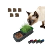 Hidroponik Kedi Çimi Yetiştirme Seti, Mavi, 5 Paket Çim Tohumu