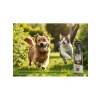 Hindistan Cevizi Kokulu Köpek Bakım Spreyi - 75 ml