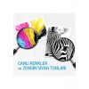 HP 704 Deskjet 2060 Üç Renkli Kartuş CN693AE