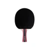 ITTF Onaylı Masa Tenisi Raketi ile Performansınızı Artırın