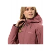 Jack Wolfskin Heidelstein Ins Kadın Outdoor Ceketi 1115681