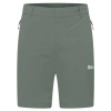 Jack Wolfskin Hikeout Shorts Erkek Outdoor Şort