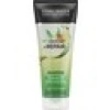 John Frieda Kuru Ve Yıpranmış Saçlar İçin Onarıcı Şampuan 250 ml