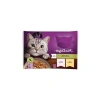 Jöle İçinde Tavuklu ve Somonlu Yetişkin Kedi Konservesi 4x85 Gr
