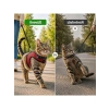 Kaçış Önleyici Kedi ve Küçük Irk Köpek Gezdirme Tasması