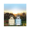 Kadın Parfümü - 100 ml