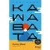 Karlar Ülkesi - Yasunari Kawabata