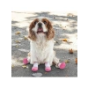 Kaydırmaz Kauçuk Tabanlı Lastikli Köpek Ayakkabısı, Pembe