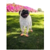 Kaydırmaz Kauçuk Tabanlı Reflektörlü Köpek Ayakkabısı, Turuncu, 5 Numara
