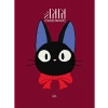 Kedi Günlüğü, Japon Anime Temalı, Ciltli