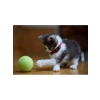 Kedi Oyun Spreyi, Kedi Nane Spreyi, 100 ML