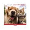 Kedi ve Köpekler İçin Ağız Bakım Ürünü, Biodent Mist