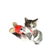 Kedi ve Köpekler İçin Diş Kaşıma Oyuncağı, Eğlenceli ve Sağlıklı