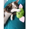 Kedi Zili ve Catnip İçeren Dino Youda Oyuncak
