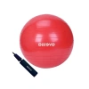 Kırmızı Pilates Topu, 55 cm ve Pompalı Tasarım